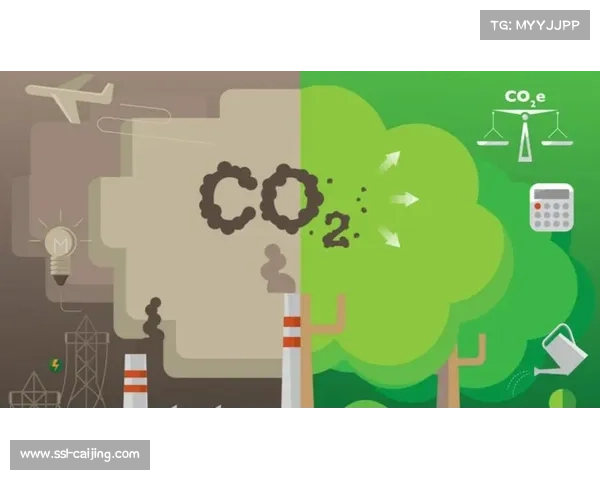 阿布扎比可持续发展举措受瞩目，碳中和赛事推进